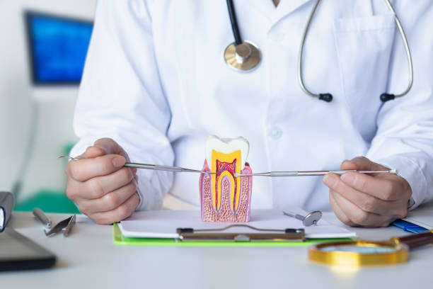 Best Emergency Orthodontic Repairs in Norwalk, CT